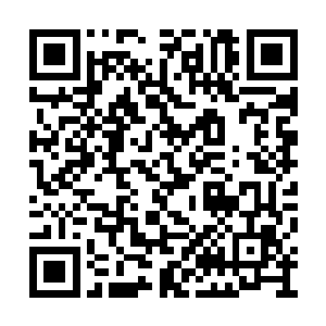 这杭州城里谁不知道你苑子里的厨子菜做得好啊二维码生成