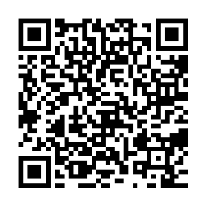 这松康的一手医术就是专门依靠人体拆解试验逐步精湛起来的二维码生成