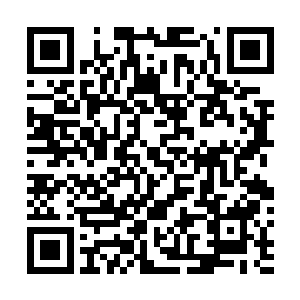 这极有可能也是赛迪斯今天出现在魔鬼城中的最重要原因二维码生成