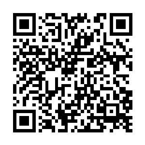 这枚丹药将会是本座日后恢复超凡意志的必备丹药二维码生成