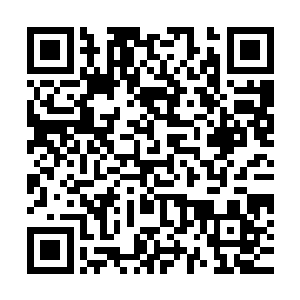 这枚地下城之心其实蕴含着比它表面上展露出来的强得多的能量二维码生成