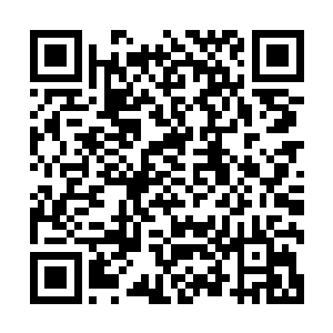 这枚小小的感应器是当时巴基斯坦恐怖组织基地最新研究成果二维码生成
