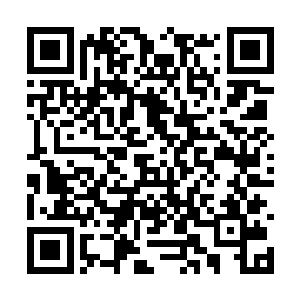 这枚开天造化丹就算在混沌海洋都算得上至高丹药二维码生成