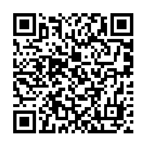 这枚血核也是一名高阶血族刚刚凝聚出来的力量结晶二维码生成