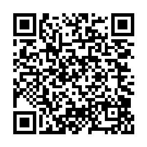 这架武装直升飞机就是公开拍摄的那架直升飞机二维码生成