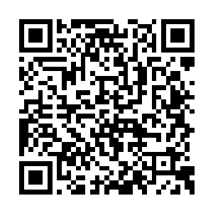 这柄裁纸刀苏叶还记得是他用来裁报刊时候买的二维码生成