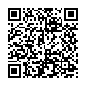 这栋别墅的市值大概差不多是十一亿人民币了……二维码生成