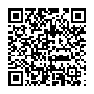 这栋屋子本身也有着某种类似于诅咒的超自然力量二维码生成