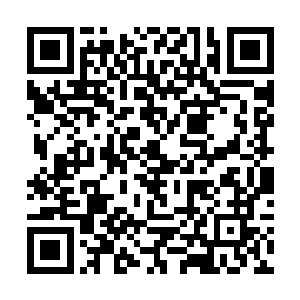 这株仙草可以说比苗毅抢来的所有宝物加一起都值钱二维码生成