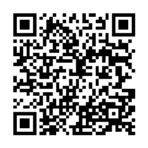 这株兰花从正常的角度看已经没有任何恢复的可能了二维码生成