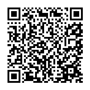 这株兰花的贵重之处就在于在一株兰花上居然长满了那么多的花朵二维码生成
