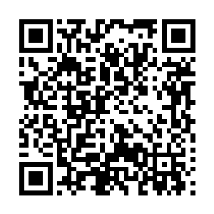 这株在万丈红尘中生长了九万多年的星华仙草根本就出不来二维码生成