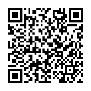 这株灵草的叶子并不像普通叶子一样呈现一个平面二维码生成