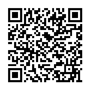 这样…吕将军和张将军还有他们的家眷都在汝阳二维码生成
