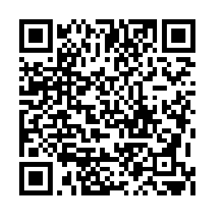 这样一下子利用毒瓶改造出如此之多的战斗猛兽二维码生成