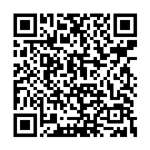 这样一个可以在世界杀手排名中排在前五的存在二维码生成