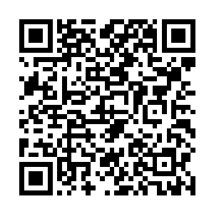 这样一个市场几百万的投资对于佰达公司来说不是问题二维码生成