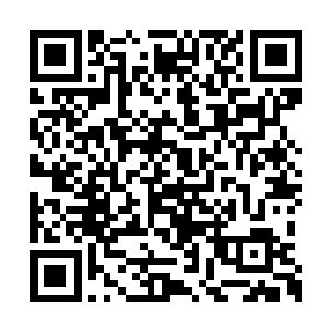 这样一个极品少女不能便宜了那问情宗的少宗主二维码生成