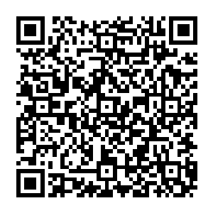 这样一个狗啃泥的摔倒正好让他的两个龅起来的门牙和坚硬地地板砖来了个亲密接触二维码生成