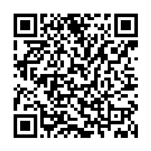 这样一份爱情对正处于花样年华的董雪来说是不是太二维码生成