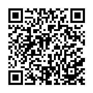这样一会聊天的时候不会让他看出来自己的伤有多严重二维码生成