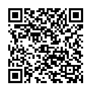 这样一位研究生已经足够有资格跟学院的一些老牌教授二维码生成