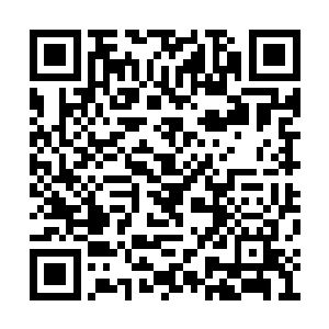 这样一支宗师武者组成的队伍杀伤力是多么恐怖二维码生成