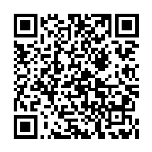 这样一来对其他考核者简直是一场末日般的灾难二维码生成