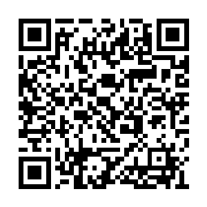 这样一来我才会觉得外婆和海师兄他们是安全的二维码生成