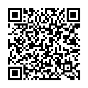 这样一来我的一脉创元施展的时间也会大幅度延长二维码生成