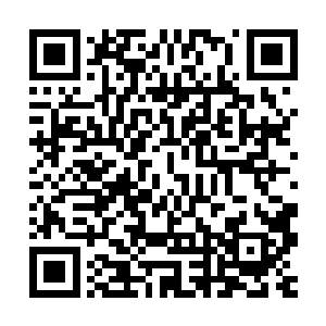 这样一来相当于在整个神界之中布置了一个无比庞大的聚灵大阵二维码生成