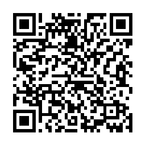 这样一股罡气护罩虽然比之前的好几层罡气护罩都更要强大二维码生成