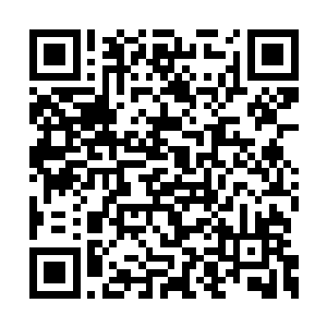 这样久违的温暖话语晕开了室内原本沉闷的气氛二维码生成