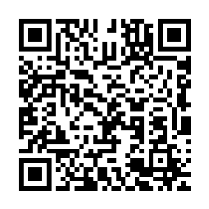 这样也是方便以后奥利维亚会在有问题的时候及时向自己求助二维码生成