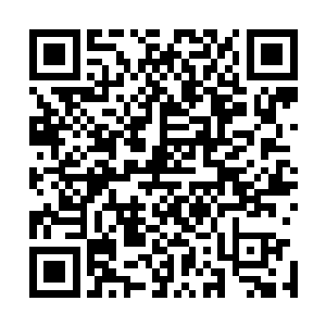 这样做的原因除了可以增加鸟巢的重量不至于被大风给刮走二维码生成