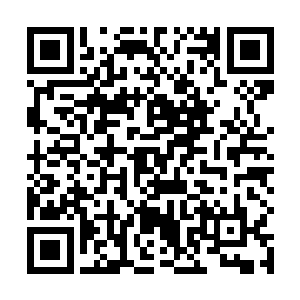 这样可以保证最后胜出的天才都是这一代最顶尖的天才二维码生成