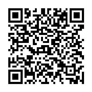 这样完美的女人把自己输给了一个外地来的过江龙二维码生成