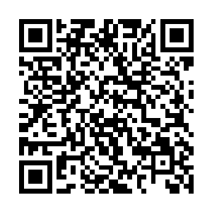 这样对洼崮周边地区的中药材种植户们也是一大鼓舞二维码生成