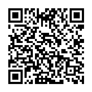 这样就可以借着蓝海的力量将天灵大陆进行板块挪移二维码生成