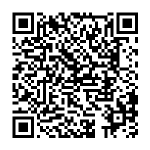 这样就富裕出两个人尊初期巅峰大修士去对付魔族的人尊初期大修士二维码生成