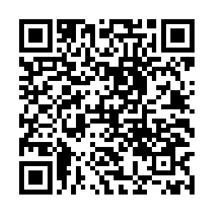 这样就是杀上一辈子他们五个也不会有丝毫的问题二维码生成