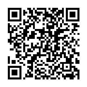 这样弱小的存在怎会让一名圣皇境界的盖世强者恭敬二维码生成