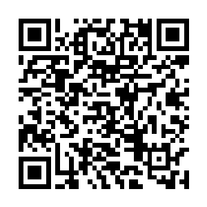 这样我们的队伍里面就有三个尊者五十级的高手了二维码生成