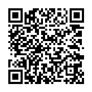 这样才不枉费我过去十几年一直对你进行的灌输二维码生成