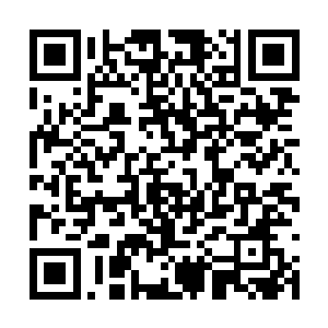 这样才有可能诞生真正完美而公平的生命和种族啊二维码生成