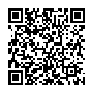 这样才能最为有效的灭绝死者在死后尤自反向裨益幕后黑手二维码生成