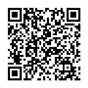 这样方便了达伦大祭司组织他手下的人进行这样的兽行二维码生成