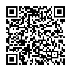 这样既能减少稻米的消耗也能让满足食肉的人的口味二维码生成