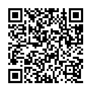 这样有些喜剧元素的作品更受年轻人欢迎――啊二维码生成