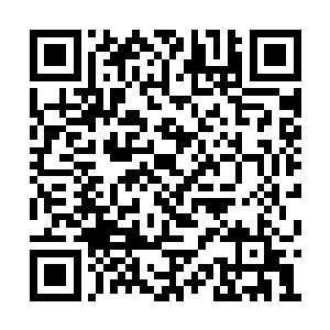 这样有多少人会为了逃役而继续选择留在育幼院二维码生成